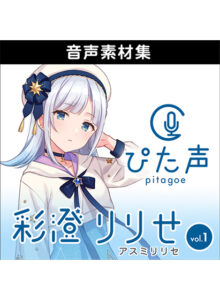 ahsoft_0019pl