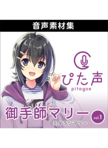 ahsoft_0020pl