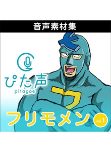 ahsoft_0021pl