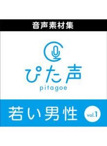 ahsoft_0022pl