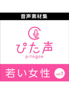 ahsoft_0023pl