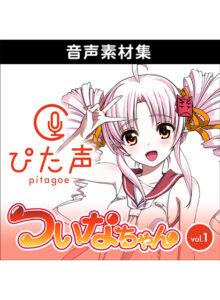 ahsoft_0026pl