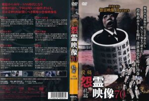 n_1095mgdr527rpl