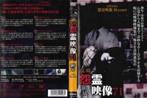 n_1095mgdr528rpl