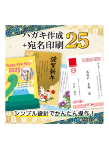 softbank_0590pl