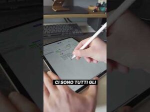 93338-oNXzka5TaNE