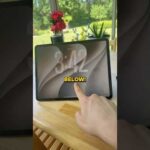 99961-RrBWC3GJpVE