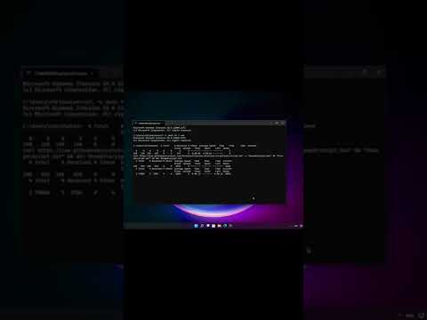 100738-LNe9z5tXeFA