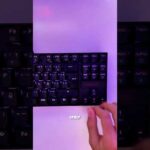 100767-JmYHz9hWicA