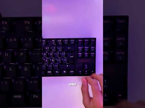 100767-JmYHz9hWicA