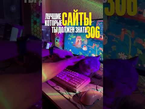 101863-gnbjMWtccbY