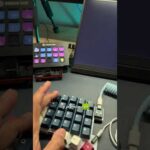 102561-eIDTkITF_T4