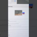 103058-v_WxDbNQkaA